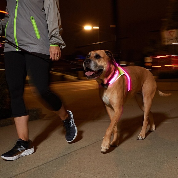 Noxgear | LightHound | Multi-Color Dog Light Harness | Medium | New in Box - Picture 1 of 16